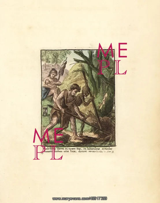 : Adam and the skeleton of Death uprooting a tree : Adam and the skeleton of Death uprooting a tree