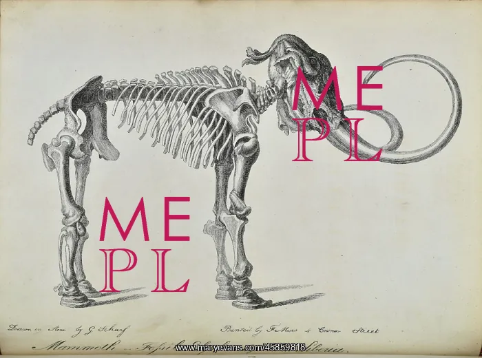 : Adams Mammoth : Adams Mammoth