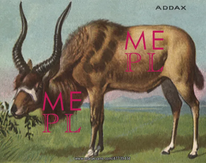  : AddaX