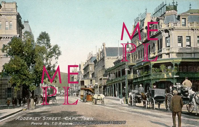 : Adderley Street, circa 1904-1912 : Adderley Street, circa 1904-1912