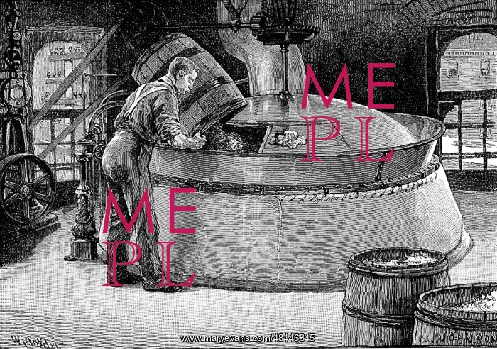 : Adding hops to boiling beer in an American brewery : Adding hops to boiling beer in an American brewery