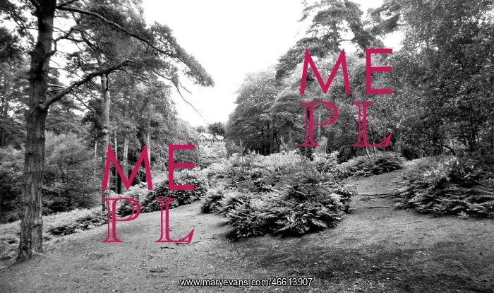  : Addiscombe, Coombe Woods c1965