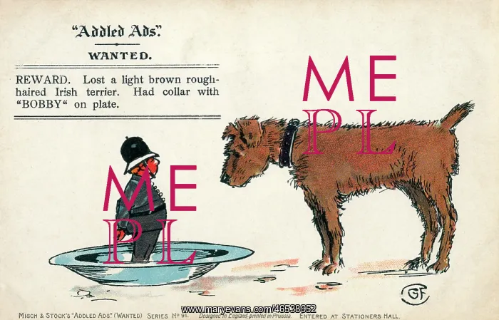 : Addled Ads - Humorous postcard - Irish Terrier and Bobby : Addled Ads - Humorous postcard - Irish Terrier and Bobby