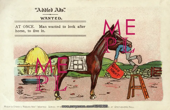 : Addled Ads - Living in a HORSE : Addled Ads - Living in a HORSE