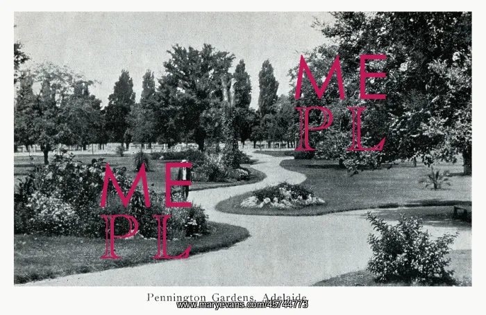 : Adelaide, Australia - Pennington Gardens : Adelaide, Australia - Pennington Gardens