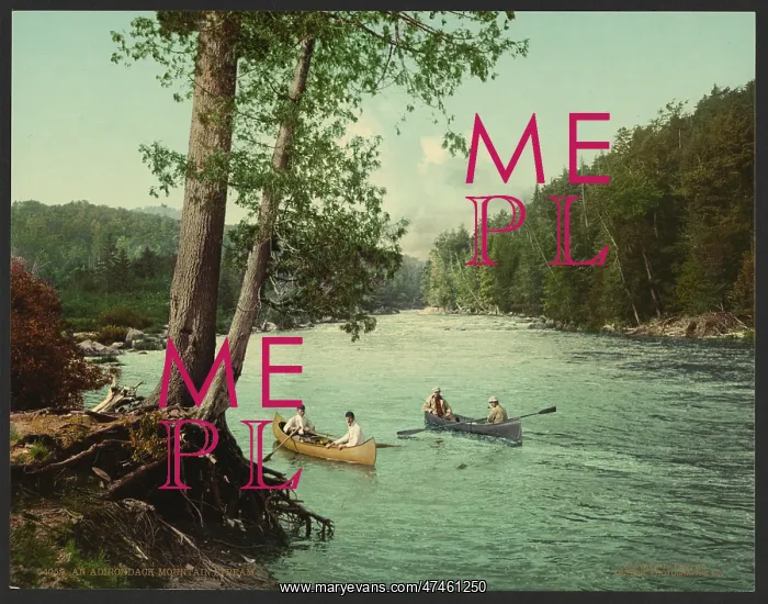  : An Adirondack mountain stream