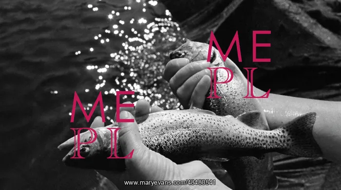 : Adler trout breeding farm : Adler trout breeding farm