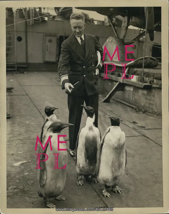 : Admiral Byrd with Emperor Penguins on expedition ship : Admiral Byrd with Emperor Penguins on expedition ship