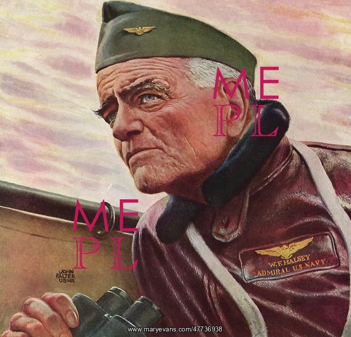 : Admiral Halsey : Admiral Halsey