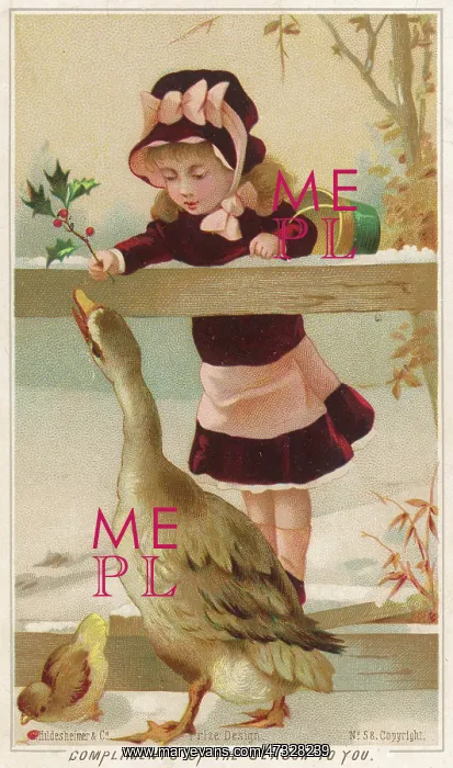 : ADMIRING THE GOOSE : ADMIRING THE GOOSE
