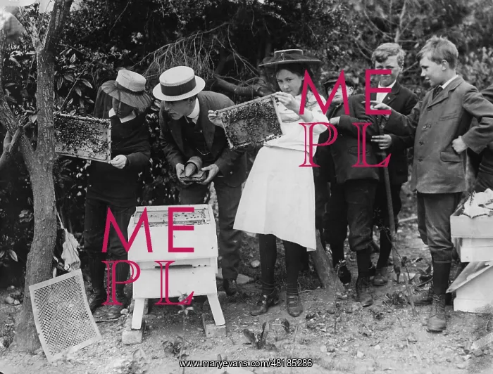 : Adolescents, 1912 : Adolescents, 1912