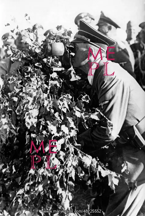 : Adolf Hitler : Adolf Hitler