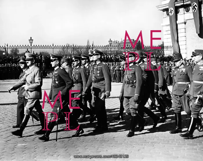 : Adolf Hitler during the annexation of Austria : Adolf Hitler during the annexation of Austria