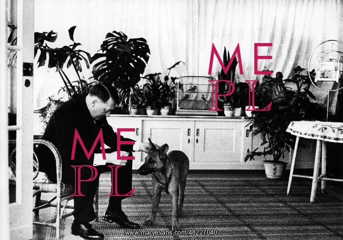 : Adolf Hitler with his dog, 1937 : Adolf Hitler with his dog, 1937