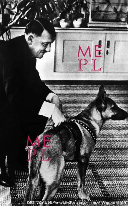 : Adolf Hitler with his dog, 1937 : Adolf Hitler with his dog, 1937