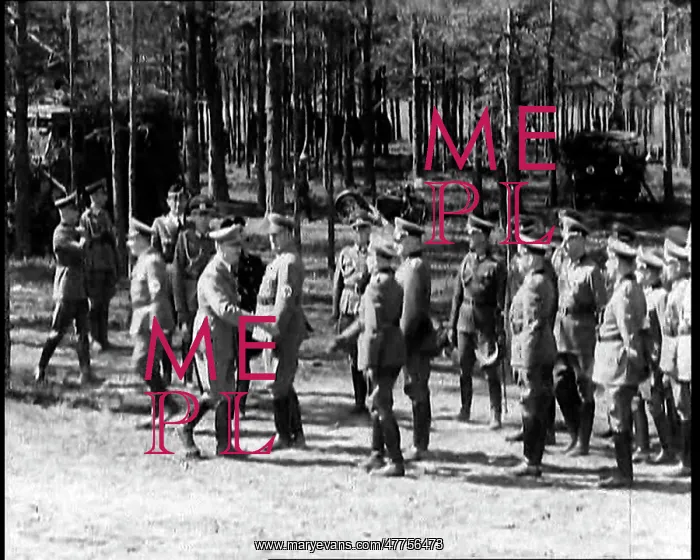 : Adolf Hitler, the German Leader, Moving Forward : Adolf Hitler, the German Leader, Moving Forward