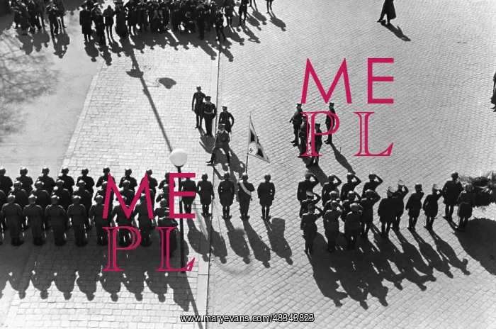 : Adolf Hitler on the Heldenplatz in Vienna, 1938 : Adolf Hitler on the Heldenplatz in Vienna, 1938