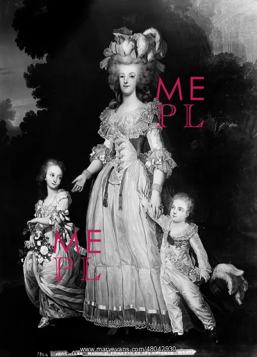  : Adolf Ulrik Wertmuller (1751-1811). Marie-Antoinette