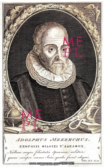 : ADOLF VAN METKERKE : ADOLF VAN METKERKE