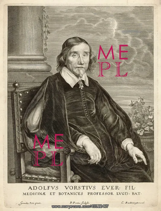: ADOLF VAN VOORST : ADOLF VAN VOORST