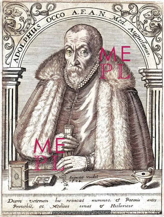 : ADOLPHUS OCCO : ADOLPHUS OCCO