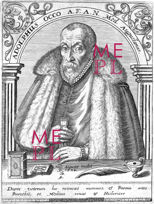 : ADOLPHUS OCCO : ADOLPHUS OCCO