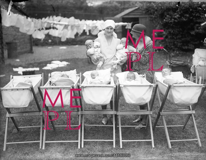: ADOPTION SOCIETY BABIES : ADOPTION SOCIETY BABIES