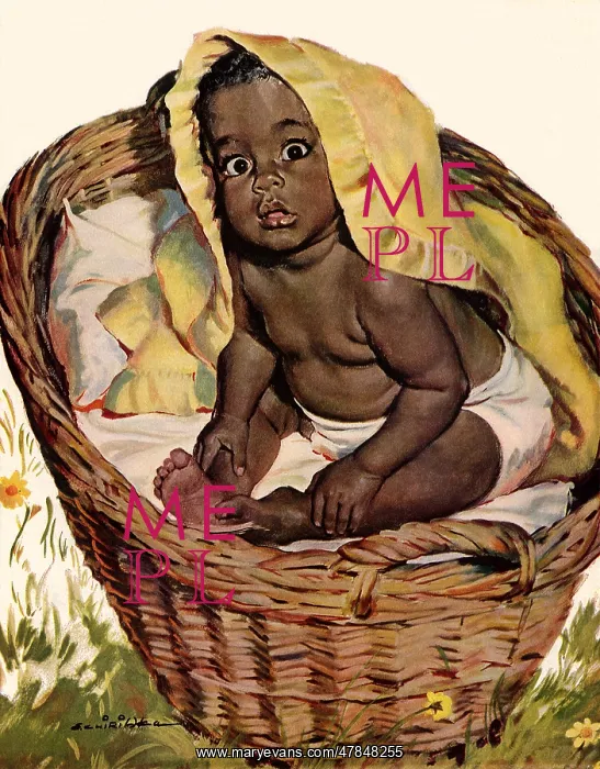  : Adorable Baby in Basket