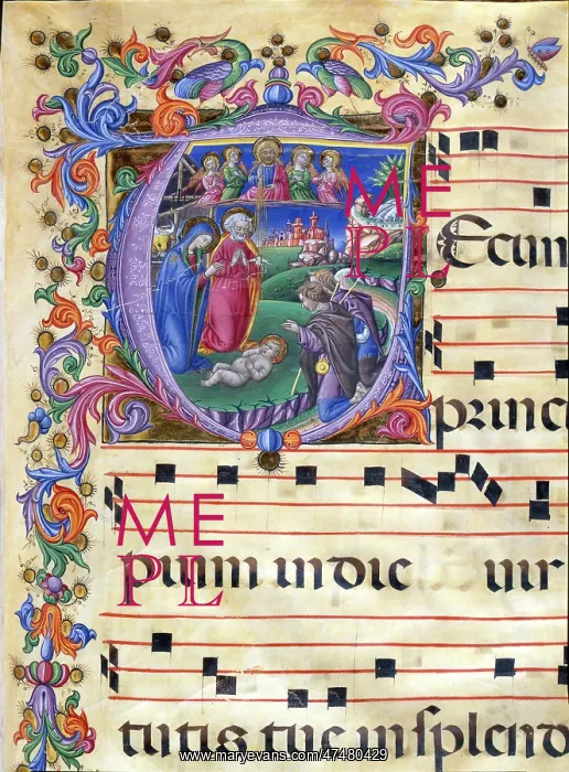 : Adoration of the Shepherds : Adoration of the Shepherds
