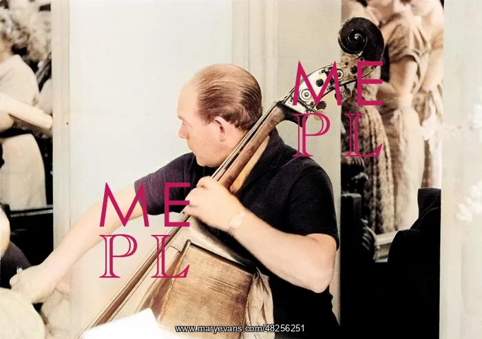: Adrian Beers playing Double Bass : Adrian Beers playing Double Bass