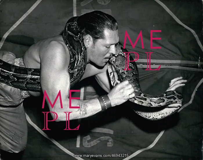 : Adrian Darley performing with python, Kiss of Death : Adrian Darley performing with python, Kiss of Death