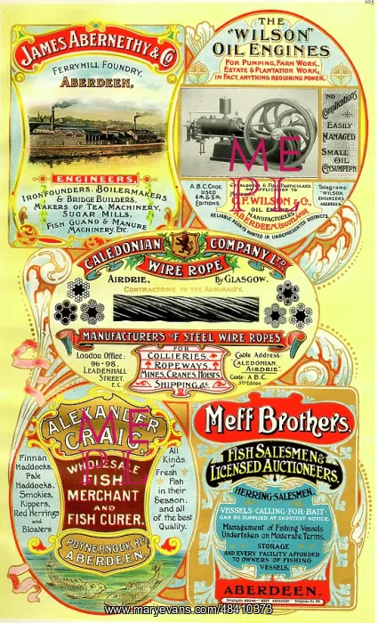 : Adverts, five Scottish businesses : Adverts, five Scottish businesses
