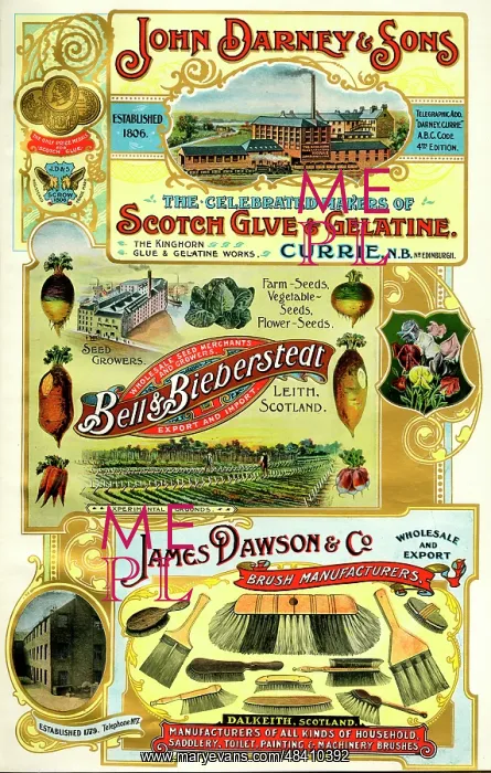 : Adverts, three Scottish businesses : Adverts, three Scottish businesses