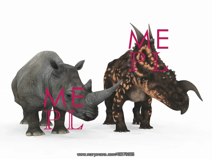 : An adult Einiosaurus compared to a modern adult White ? : An adult Einiosaurus compared to a modern adult White ?