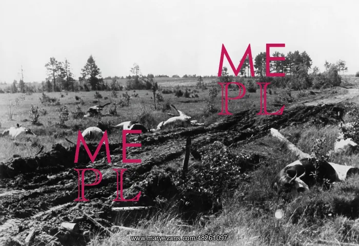 : Advance of Army Group North, 1941 : Advance of Army Group North, 1941