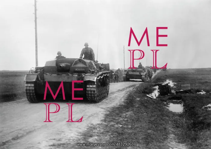 : Advance of Army Group South on the Eastern Front, 1941 : Advance of Army Group South on the Eastern Front, 1941