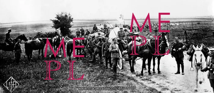 : Advance of German troops on the Western Front, 1914 : Advance of German troops on the Western Front, 1914