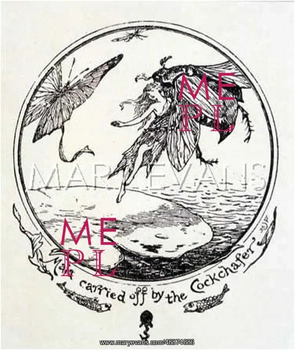 : ADVENTURES OF MAIA : ADVENTURES OF MAIA