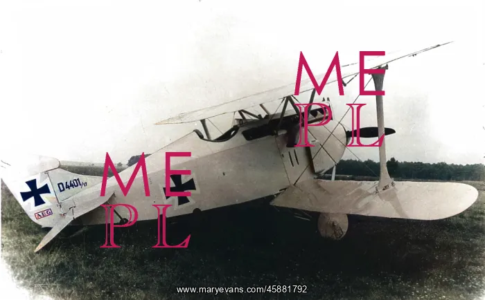  : AEG DI (on the ground) of D4401-17