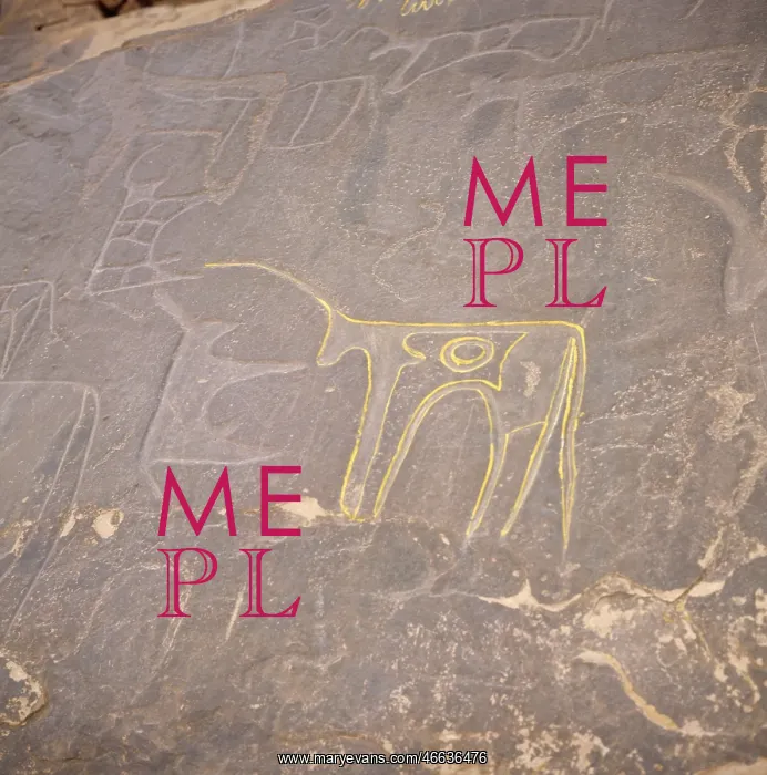 : aeon / prehistory, petrographs, bull : aeon / prehistory, petrographs, bull