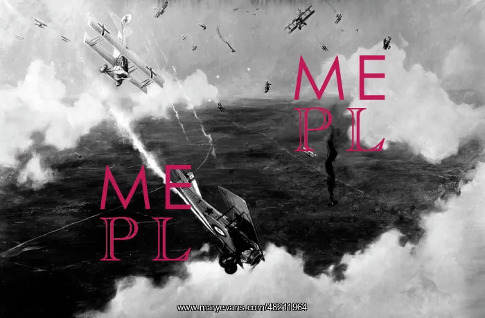 : Aerial combat above the western front in the First World War : Aerial combat above the western front in the First World War