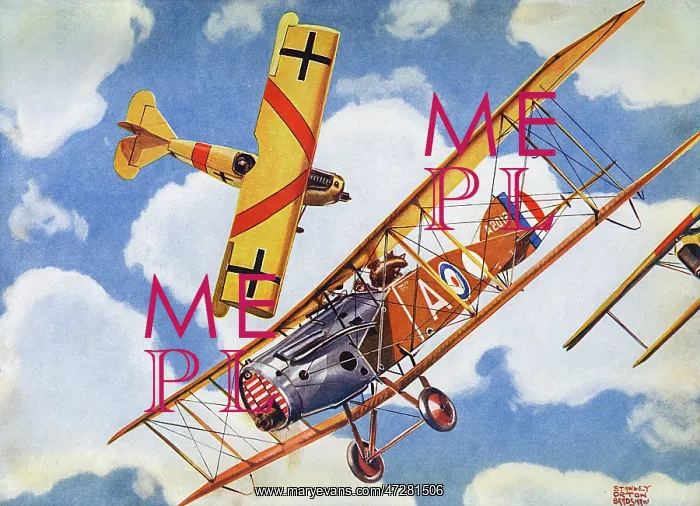 : AERIAL DOGFIGHT : AERIAL DOGFIGHT