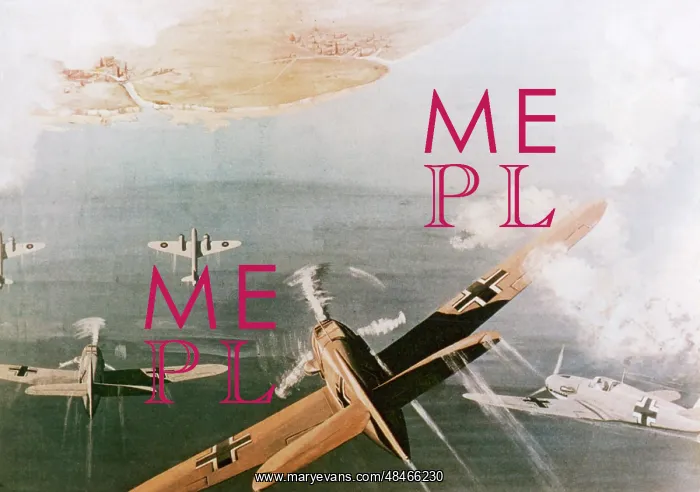 : AERIAL DOGFIGHT : AERIAL DOGFIGHT