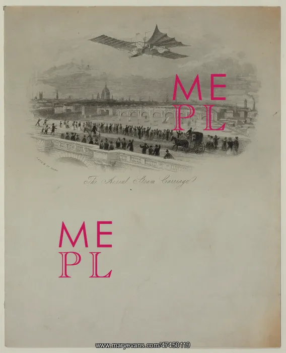 : The aerial steam carriage : The aerial steam carriage