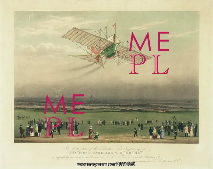 : The Aerial Steam Carriage, or Ariel : The Aerial Steam Carriage, or Ariel