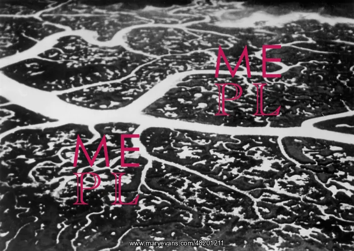 : Aerial view of the Amazon, 1930 : Aerial view of the Amazon, 1930