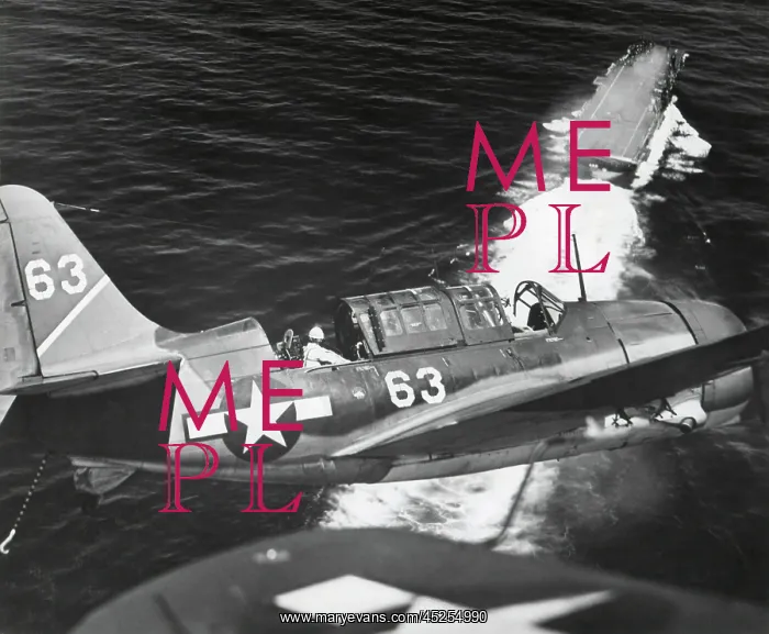 : Aerial view of a Curtiss Helldiver in the landing : Aerial view of a Curtiss Helldiver in the landing