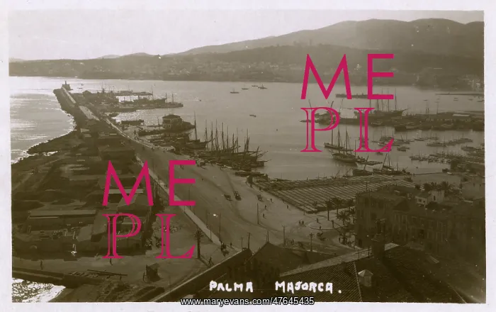  : Aerial view of the docks at Palma de Majorca, Majorca, Spain