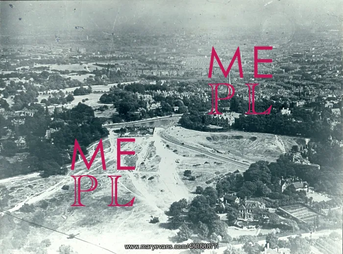 : Aerial view of Hampstead Heath : Aerial view of Hampstead Heath