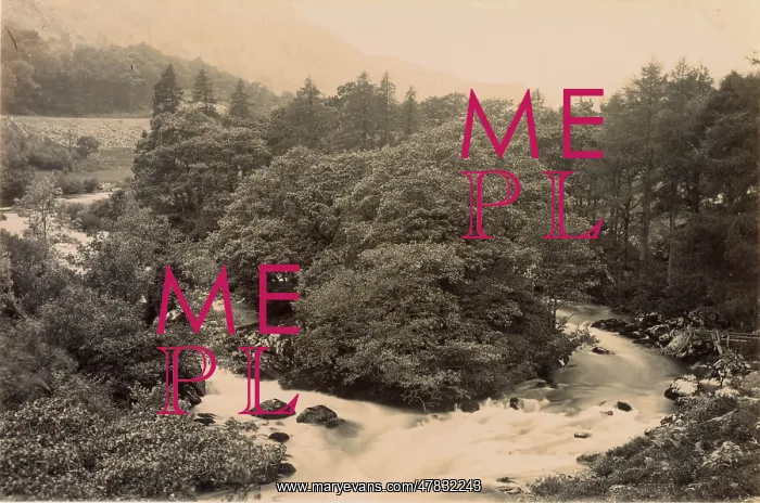  : Aerial view with trees and river, North Wales